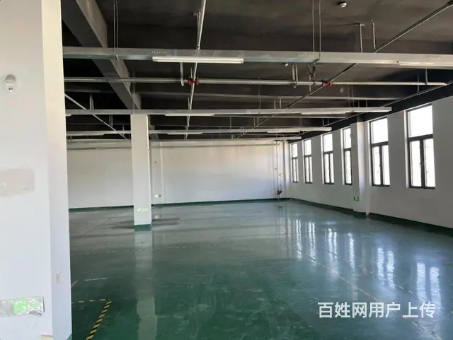 陆家原房东，一楼400平二楼400平，丙类消防，3吨货梯 - 图片 2