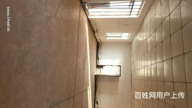 厂房、库房、办公楼出租 - 图片 4