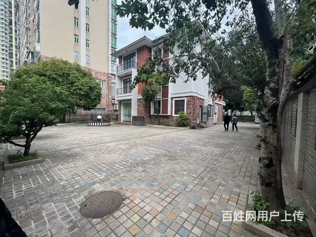 金海湾豪庭独栋别墅 - 图片 2
