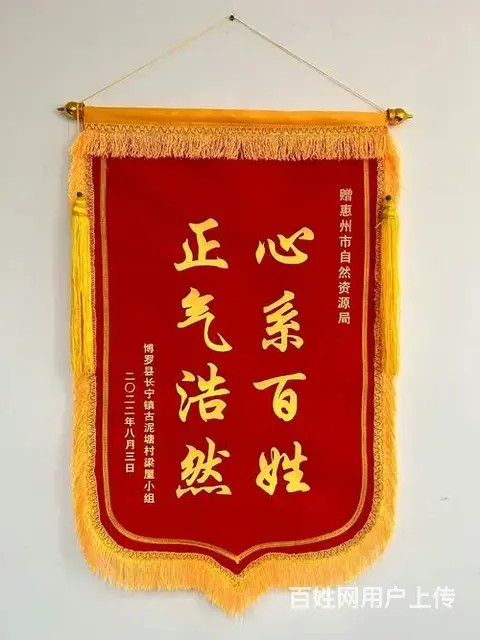 淄博专业锦旗制作 当天出货 提供代送服务 - 图片 5