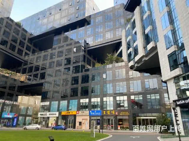 莱茵矩阵国际200方300方900方整层精装，开发商降价出售 - 图片 6