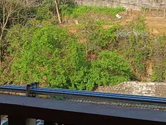 老水泥厂两室一厅出租