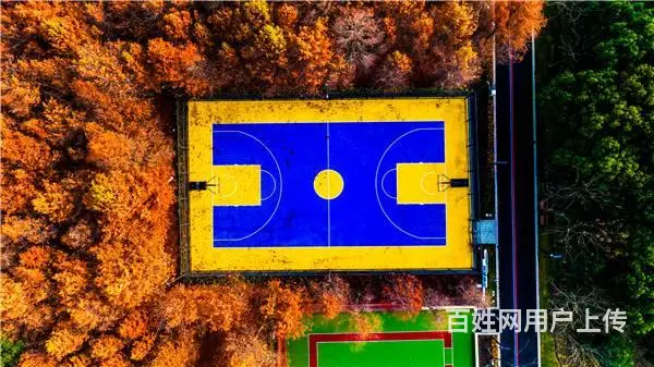 硅PU材料的安全性解析：品质、环保与耐久的全面考量 - 图片