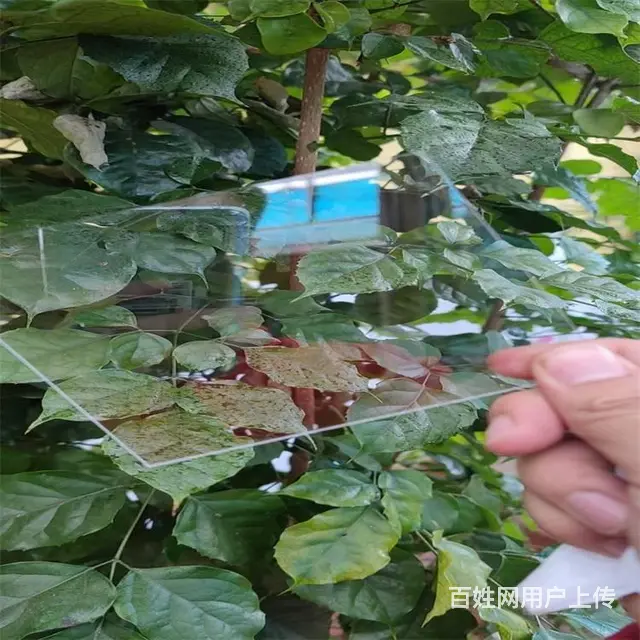 泰安新泰蜂窝阳光板厂家新泰阳光板车棚 - 图片 9