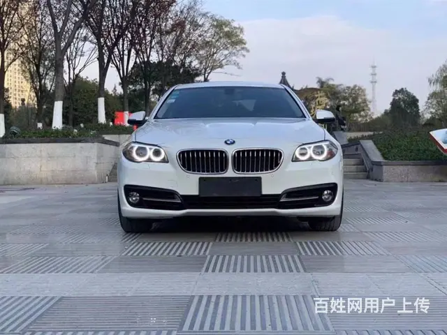宝马5系 2014款 525Li 2.0T 手自一体 领先型 - 图片 2