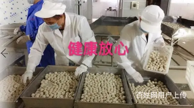全国海产批发北海海鲜鳗鱼丸子马鲛鱼丸 - 图片 1
