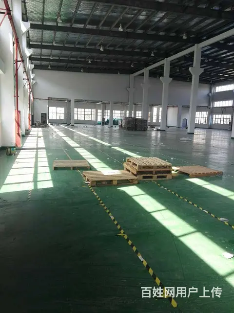 独立精装修917平米标准厂房出租 - 图片 1