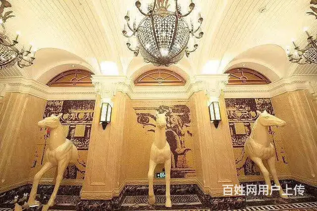 贵阳动感俱乐部贵阳好玩的夜总会ktv娱乐会所在哪 - 图片 3