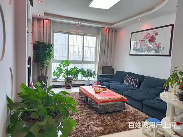 南昌路  丹尼斯旁 明珠花园  精装三室  双气电梯 - 图片 1
