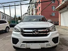 其他 皮卡