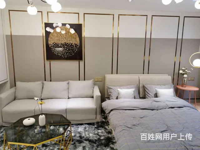 政务新区现房首付10万复式公寓苏滁汽车生活广场通燃气双层设计 - 图片 2