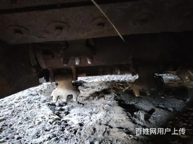 20年龙业全自动打包机出售 - 图片 1