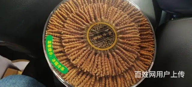 兰州回收虫草价格(兰州回收冬虫夏草)高价回收虫草 - 图片 4