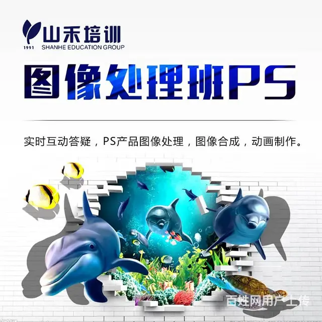 各类考证职业技能证书 教资 公共营养师 心理咨询师 - 图片 4