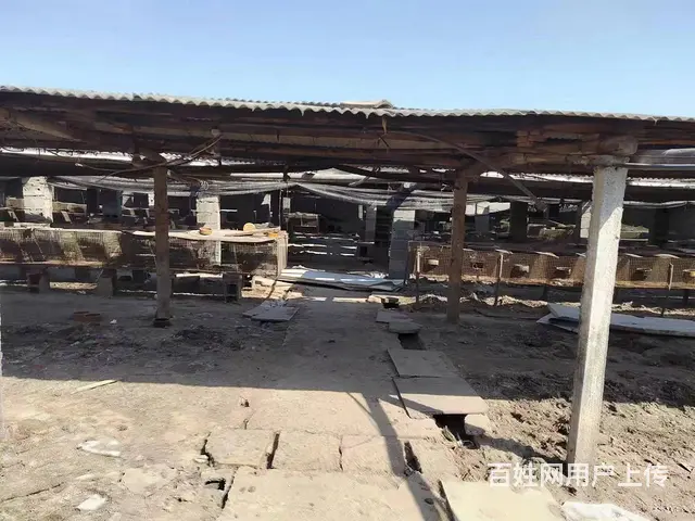 （58今铺）枣园镇花园村 1000平场地 适合做加工厂 养殖 - 图片 3