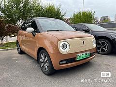 欧拉R1 2019款 301km 标准版