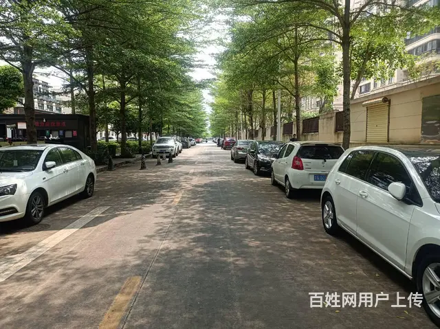 （51旺铺推荐）绿地缤纷城108平无人智能洗车店转让 - 图片 5