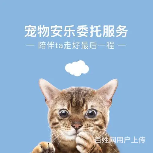 【珠海宠物无害化处理】 - 图片 9