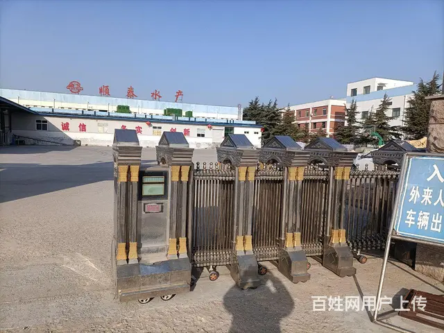 专业安装，卷帘门，车库门，电动门，伸缩门，抗风门， - 图片 3