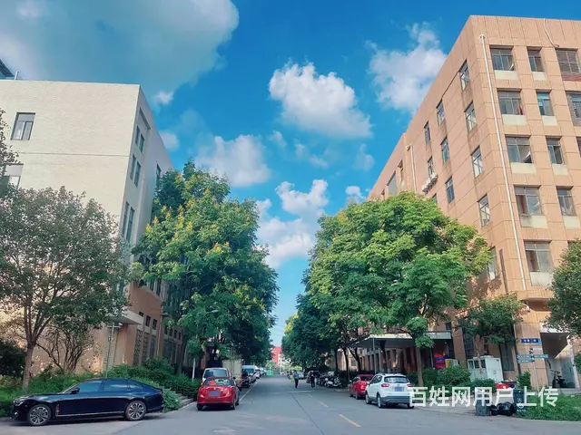 （老板本人）开福区佳海工业园精装修厂房/仓库出租 6843 - 图片 1