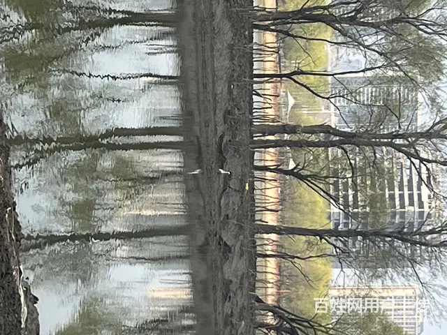 寻一知己 - 图片