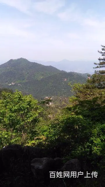 寻找真爱 - 图片 2