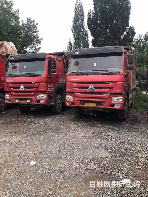 出售两台豪沃后八轮自卸车 - 图片 1