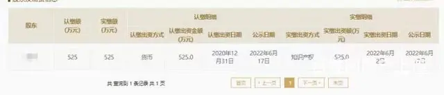 无形资产实缴评估办理 - 图片 4