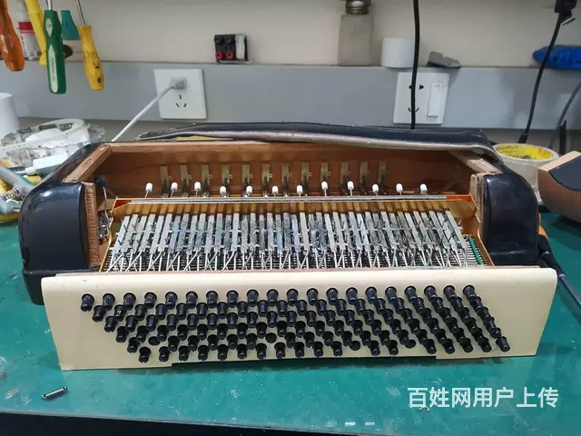 鹦鹉手风琴维修服务站，百乐金杯手风琴维修 - 图片 4