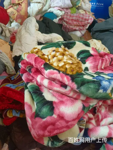 闲置旧衣服 鞋子包包 毛绒玩具 棉絮棉被 酒店布草 - 图片 5