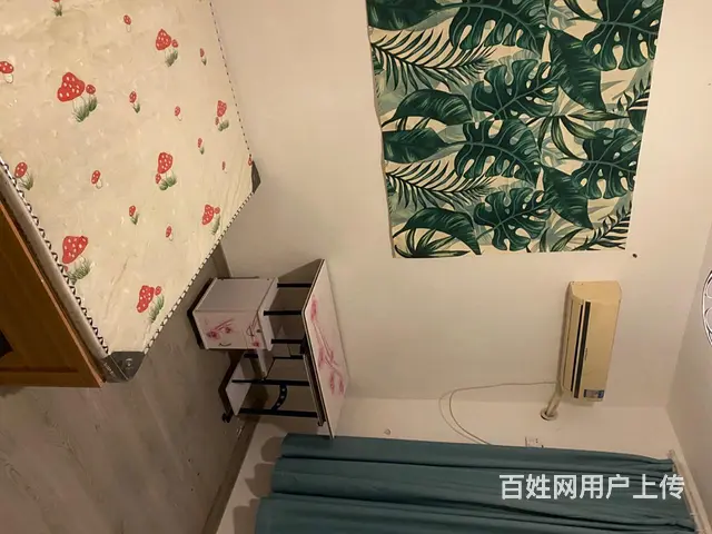 平原路单间 - 图片 1