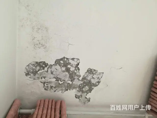 绥阳厨房防水补漏公司,外墙漏水图片怎么修 - 图片