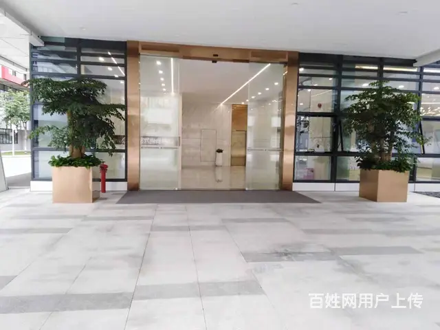 广州办公室绿植租凭，园林绿化外包，绿植出售 - 图片 5