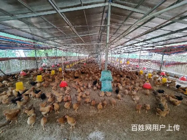 养殖场出租 - 图片 2