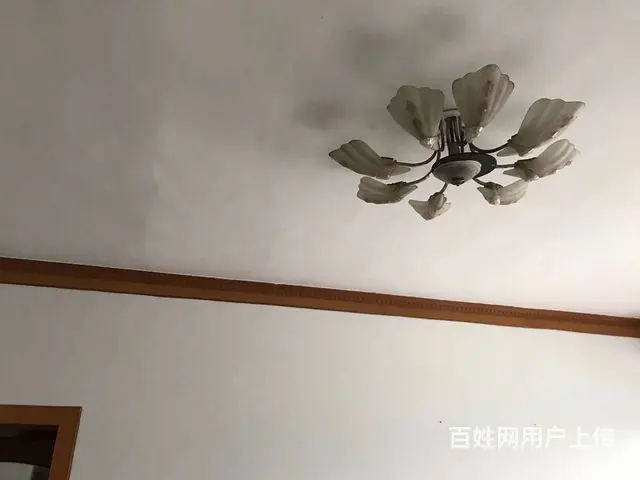 珍珠湖小区 普通住宅1厅 中等装修 - 图片 5