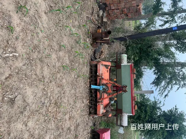 1.2米霞光 - 图片 2