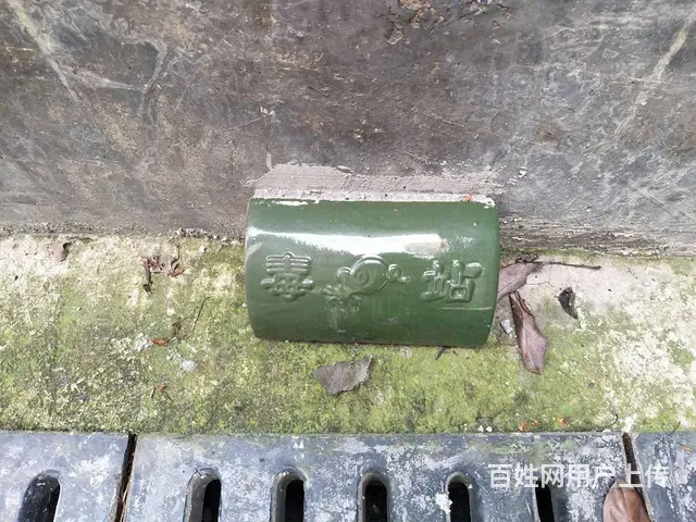 双峰专业灭白蚁灭蟑螂灭老鼠 - 图片 5