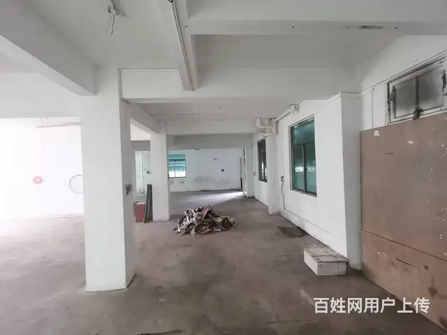（51旺铺推荐）琼州大道320平铺面招租 - 图片 3