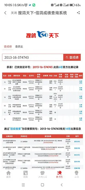 信鸽种鸽  幼鸽要的联系 - 图片 1