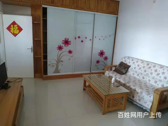 南大街振华国际一室一厅海景好房出租了 - 图片 4
