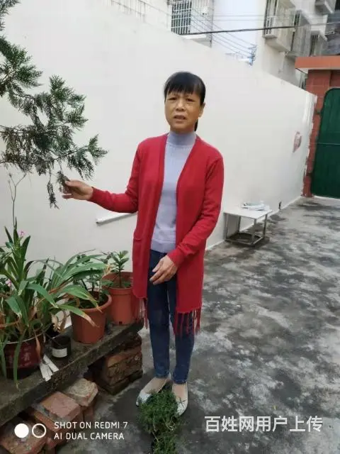 珠海斗门顺利家政服务中心提供月嫂保姆钟点工保洁 - 图片 2