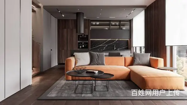 绍兴镜湖排屋装潢设计公司 - 图片
