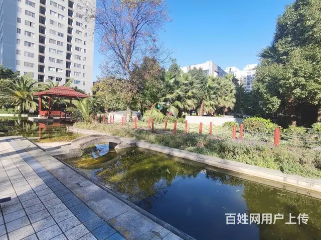 金福地花园3房 精装修 端头房 看房方便 新螺狮湾 - 图片 9