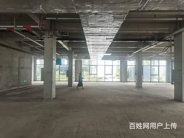 甲方直售 一楼980平写字间 沈阳国际软件园A区 - 图片 8