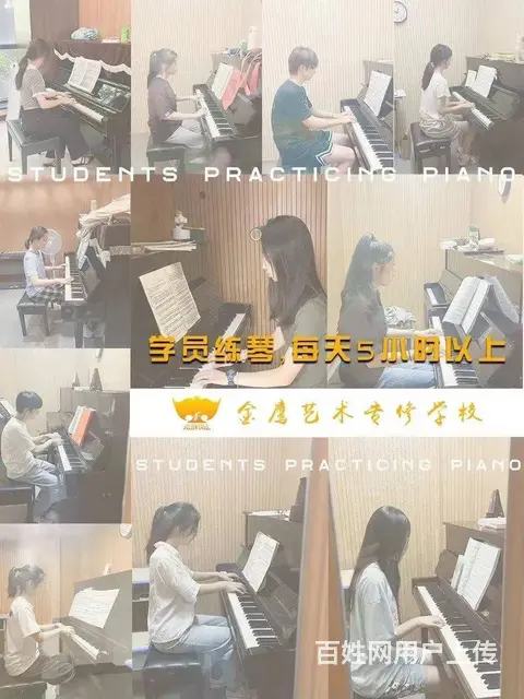 浙江音乐艺考集训，浙江音乐学院音乐教育专业好考吗 - 图片 6