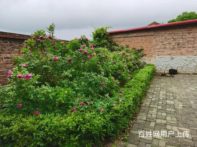 农村四合院 - 图片 3