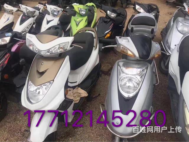 大量本田，铃木，雅马哈，豪爵，光阳品牌摩托批发零售的图片
