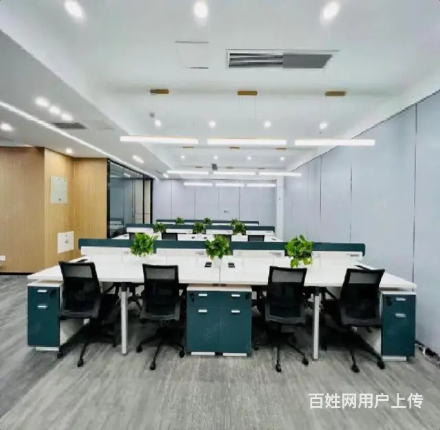 洛龙区核心地段写字楼！正大国际西区210平豪华装修带家具 - 图片 2