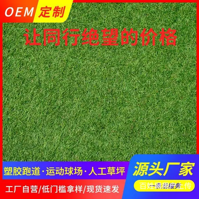 湖北炫耀蓝硅pu球场厂家oem定制加工全国上门施工 - 图片 3
