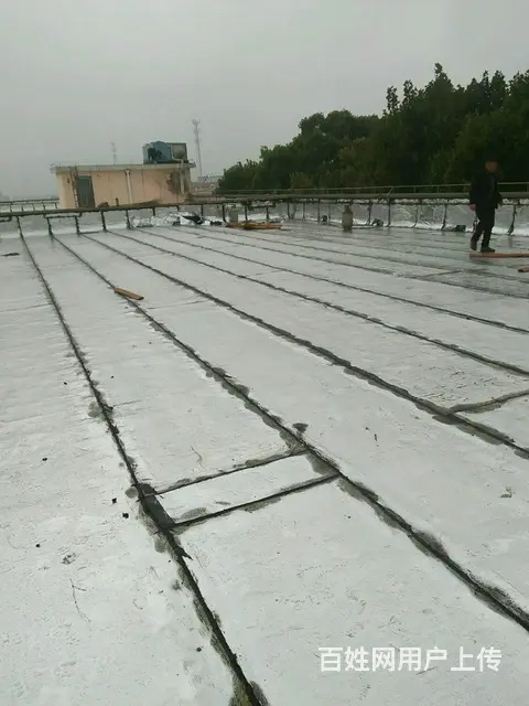 正规信誉品牌诚信防水补漏堵漏屋面卫生间防潮防渗 - 图片 10